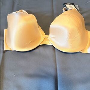 36C Elegant Cream T Shirt Bra
